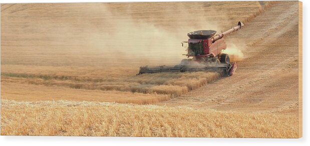 Wheat Wood Print featuring the photograph Harvesting Wheat 1336 by Jerry Sodorff