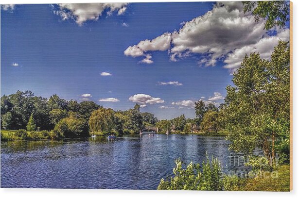 Verona Wood Print featuring the photograph Pond at Verona Park by Christopher Lotito