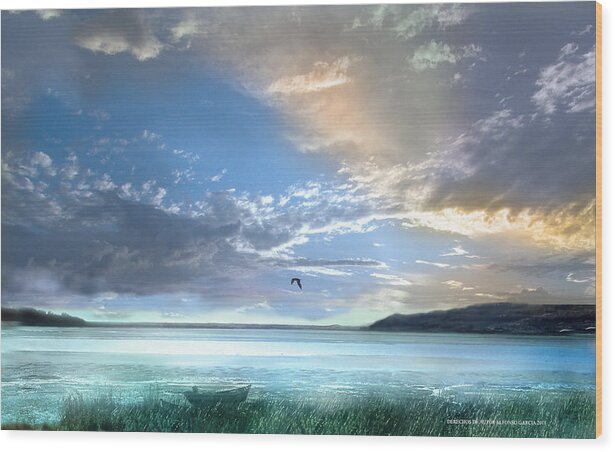 Seascape Wood Print featuring the photograph Sinfonia del Atardecer by Alfonso Garcia