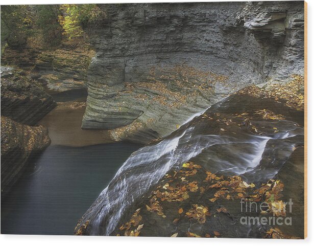 Michele Wood Print featuring the photograph Buttermilk Falls in Autumn I by Michele Steffey