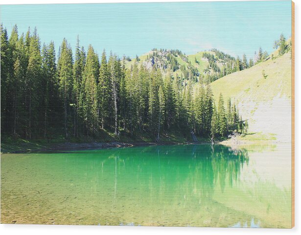 Glacier Lake Wood Print featuring the photograph Clear Green Water by Catie Canetti