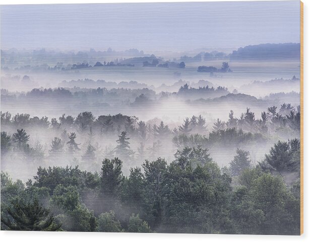 Landscape Wood Print featuring the photograph Finger Lakes Morning by Michele Steffey