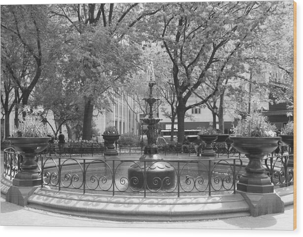 Madison Square Park Wood Print featuring the photograph Fountain Time by Catie Canetti