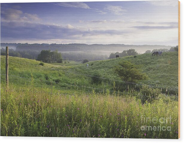 Michele Wood Print featuring the photograph Greet The Day by Michele Steffey