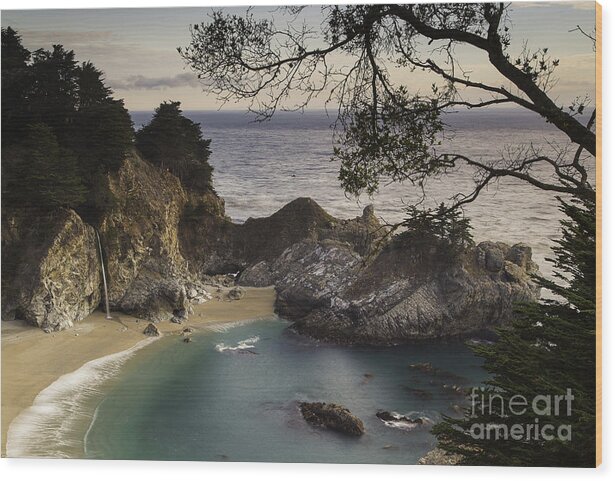 Michele Wood Print featuring the photograph McWay Falls by Michele Steffey