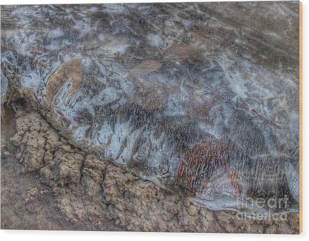 New Jersey Wood Print featuring the photograph Delaware River Ice With Leaves by Christopher Lotito