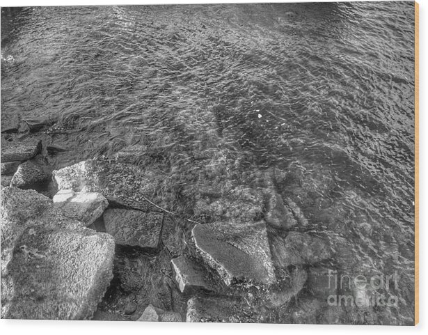Vermont Wood Print featuring the photograph Ripples on Lake Champlain by Christopher Lotito