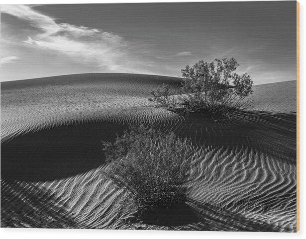 Mesquite Dunes Wood Print featuring the photograph Mesquite Flats Sand Dunes in Black and White by Don Hoekwater Photography