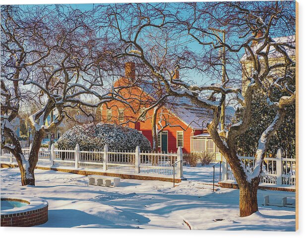 New Hampshire Wood Print featuring the photograph Morning Light, Winter Garden. by Jeff Sinon