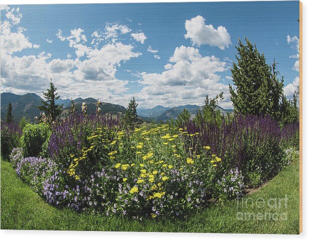 2015 Wood Print featuring the photograph Sun Mountain Lodge Gardens and Mountain Views Photography by Omaste Witkowski by Omaste Witkowski