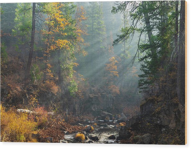 Mccloud Wood Print featuring the photograph Sunbeams on the McCloud River by Don Hoekwater Photography