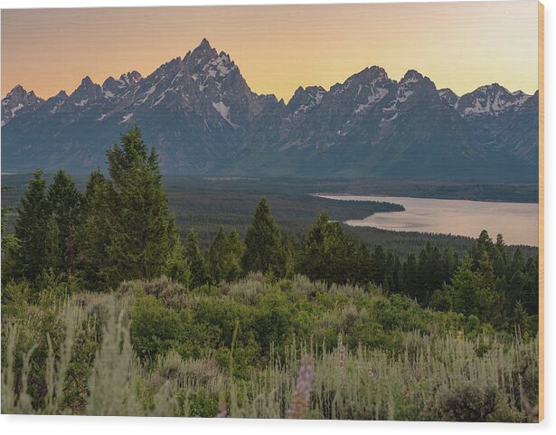 Tetons Wood Print featuring the photograph 2018 Tetons-6 by Tara Krauss