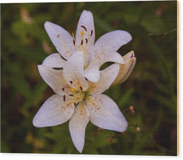 Mean Wood Print featuring the painting White Lily Starburst by Omaste Witkowski