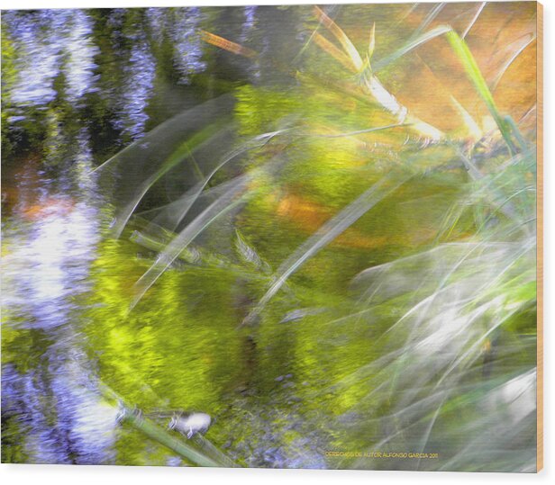 Artistis Photo Abstract Wood Print featuring the photograph Water and Wind by Alfonso Garcia