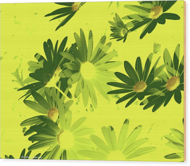 Flowers Wood Print featuring the photograph Flores de Primavera by Alfonso Garcia