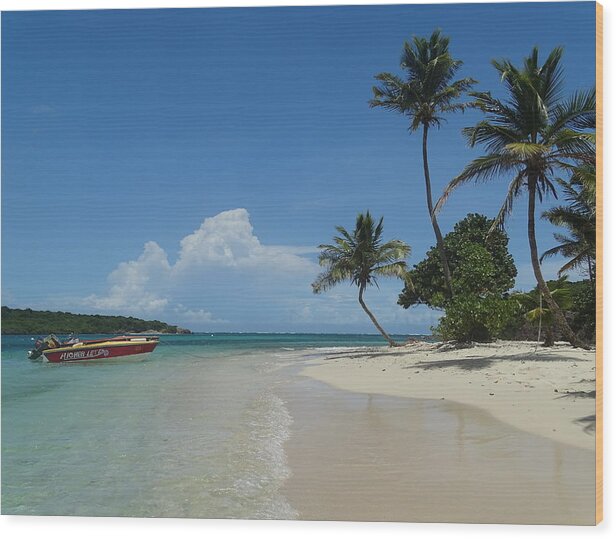 Beach Wood Print featuring the photograph Anchored at Tobago Cay 3 by Dan Podsobinski