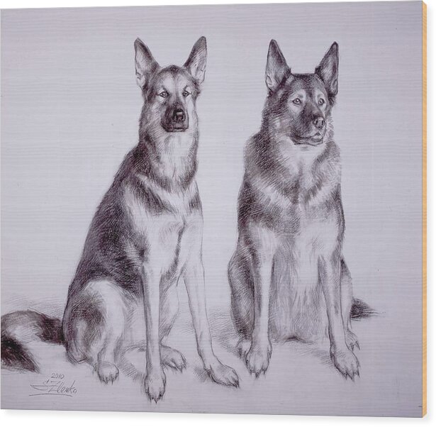Animals Wood Print featuring the drawing Sisters by Serguei Zlenko