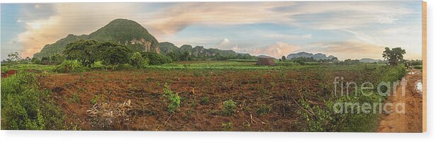 Caba�a Wood Print featuring the photograph Pinar del Rio Panorama by Jose Rey