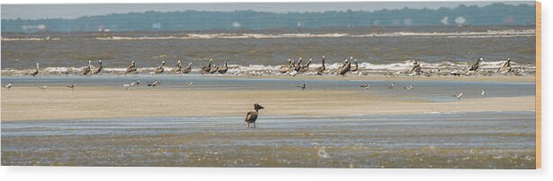 Brown Wood Print featuring the photograph Abstract Pelicans In Flight At The Beach Of Atlantic Ocean #5 by Alex Grichenko