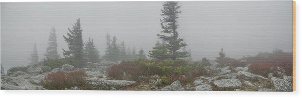 Monongahela Wood Print featuring the photograph Dolly Sods Fog Panorama by Carolyn Hutchins