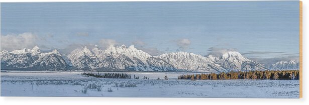 Grand Teton National Park Wood Print featuring the photograph Grand Tetons Panorama by Marcy Wielfaert