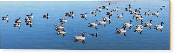 Eric W Martin Sr Wood Print featuring the photograph A lot of Geese by Eric w Martin