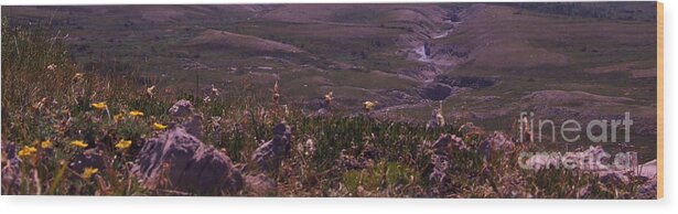 Photo Wood Print featuring the photograph Alpine Floral Meadow by Marianne NANA Betts
