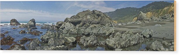 Beaches Wood Print featuring the photograph California Beach 2 by Harold Zimmer