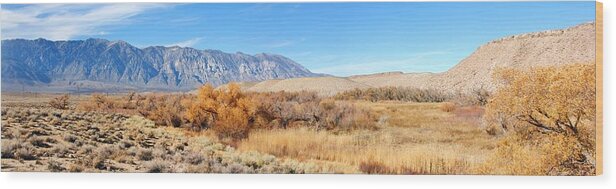 Sky Wood Print featuring the photograph Owens Valley Pano by Marilyn Diaz