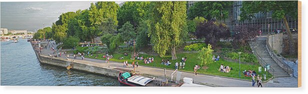 Paris Wood Print featuring the photograph Panoramic of the Seine River Beautiful day by Toby McGuire