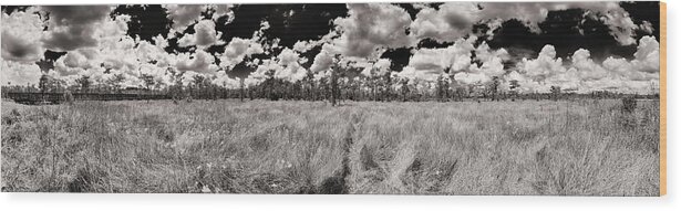 Everglades Wood Print featuring the photograph Florida Everglades by Raul Rodriguez