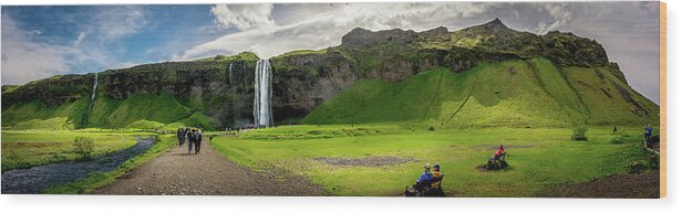 Seljalandsfoss Wood Print featuring the photograph Seljalandsfoss by Andrew Matwijec