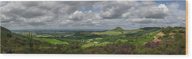 Cleveland Wood Print featuring the photograph Tees plain and Roseberry Topping by Gary Eason