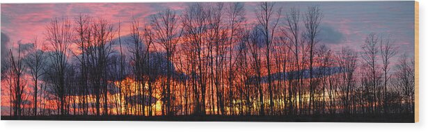 Atmosphere; Beauty; Clear; Climate; Cloud; Cold; Dawn; Dusk; Forest; Landscape; Nature; North; Outdoors; Park; Rural; Scene; Scenic; Season; Silence; Silhouette; Sky; Space; Sun; Sunlight; Sunrise; Sunset; Tranquil; Tree; Brilliant; Country; Countrys Wood Print featuring the photograph Winter Sunset Panorama by Frances Miller