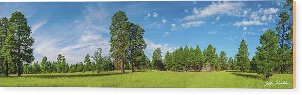 Arizona Wood Print featuring the photograph Anasazi Meadow on Campbell Mesa by Jeff Goulden