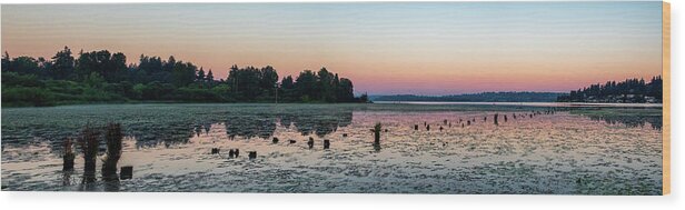 Juanita Bay Park Wood Print featuring the photograph Juanita Bay Sunrise by Larey McDaniel