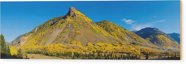 Photography Wood Print featuring the photograph Aspen Trees On Mountain, Anvil by Panoramic Images