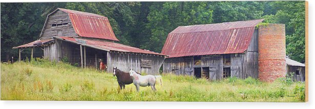 Duane Mccullough Wood Print featuring the photograph Barns and Horses near Mills River NC by Duane McCullough