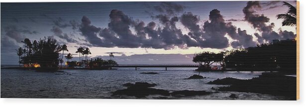 Coconut Island Wood Print featuring the photograph Coconut Island by Craig Watanabe