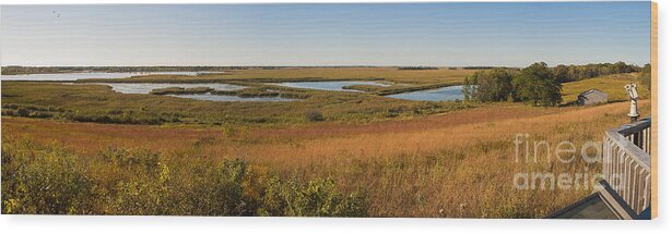 Birds Wood Print featuring the photograph Horicon Marsh by Steven Ralser