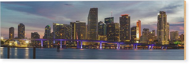 Florida Wood Print featuring the photograph Miami Skyline by Stefan Mazzola