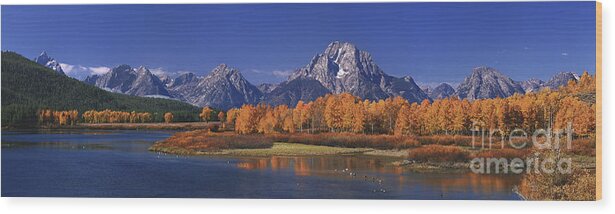 Grand Tetons National Park Wood Print featuring the photograph Panorama Fall Morning Oxbow Bend Grand Tetons National Park Wyoming by Dave Welling