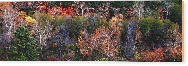 Autumn Wood Print featuring the photograph Sedona Fall by Peter Cutler