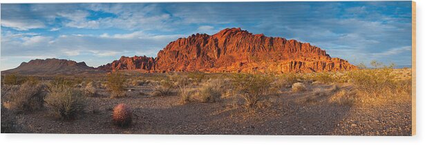  Arid Wood Print featuring the photograph Valley of Fire by Darren Bradley