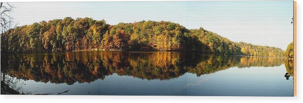 Fall Wood Print featuring the photograph Fall in Indiana by Carol Milisen