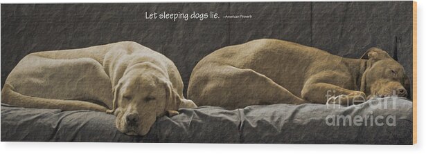 Sleeping Dogs Wood Print featuring the photograph Let sleeping dogs lie by Gwyn Newcombe