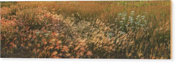 Panorama Wood Print featuring the photograph Northern Summer by Doug Gibbons