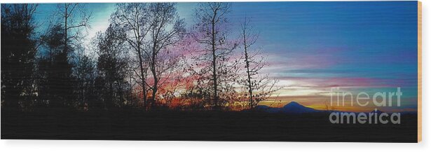 Landscape Wood Print featuring the photograph Pastels by Brianna Kelly