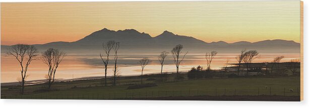 Water's Edge Wood Print featuring the photograph Bare Trees At Coast by Image By Peter Ribbeck