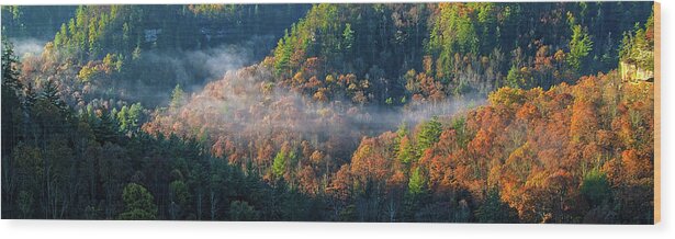 Autumn Wood Print featuring the photograph Autumn Morning Mist by Monroe Payne